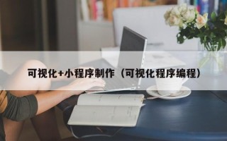 汉川可视化+小程序制作（可视化程序编程）